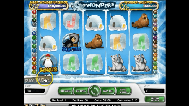 Icy Wonders - скриншот 1